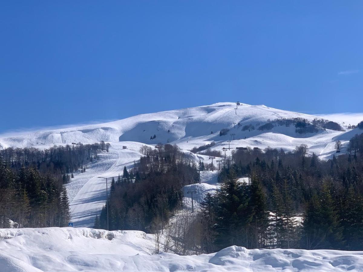 Modern Mountain Hotel Kolasin Exterior photo